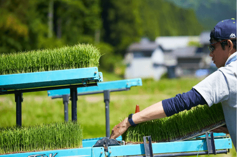 吉田酒造様_画像